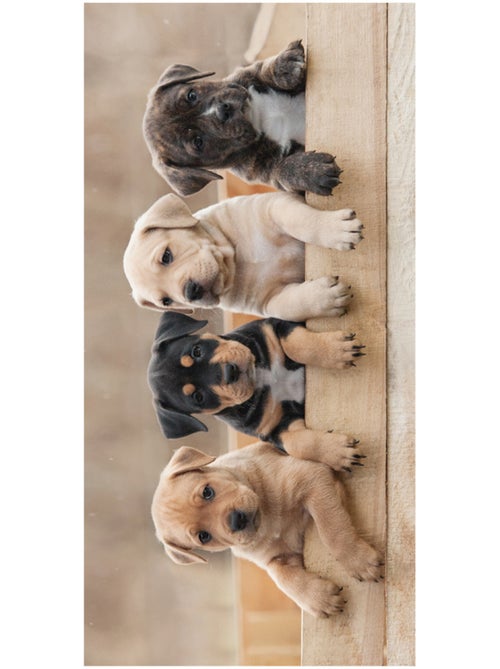 Serviette de plage coton imprimé photoréaliste chiots Jerry Fabrics - Kiabi