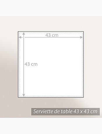 Serviette de table AKSEL en polycoton