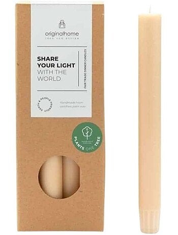 Set de 10 bougies cierges beige 20 cm