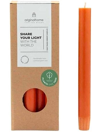 Set de 10 bougies cierges orange 20 cm