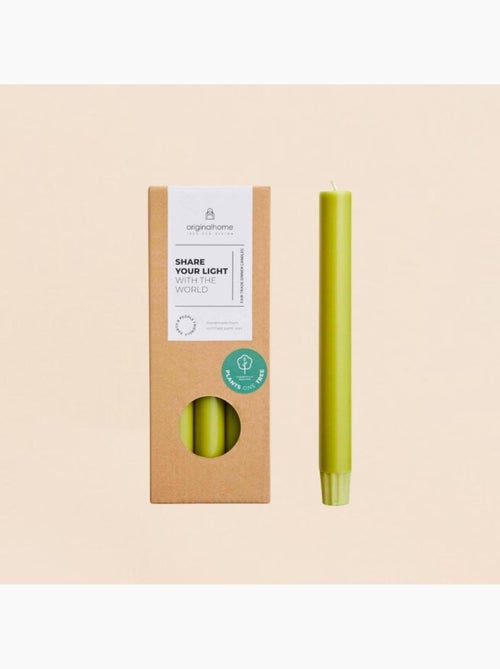 Set de 10 bougies cierges vert mousse 20 cm - Kiabi