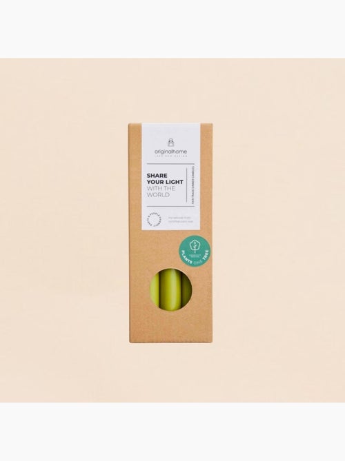 Set de 10 bougies cierges vert mousse 20 cm - Kiabi