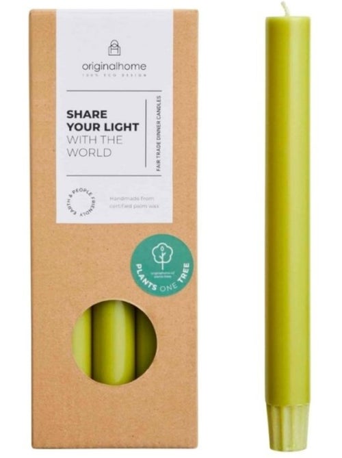 Set de 10 bougies cierges vert mousse 20 cm - Kiabi