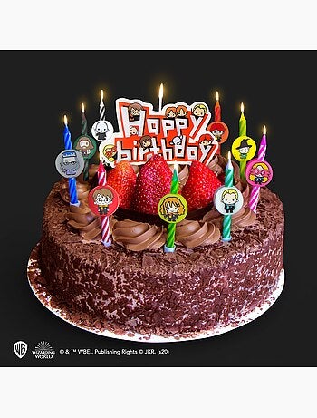 Set de 10 Bougies d'anniversaire Personnages Harry Potter & 1 Happy Birthday - Harry Potter