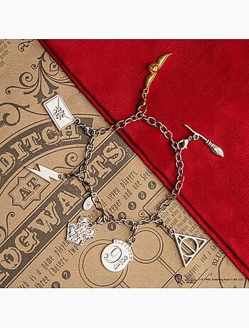 Set de 2 charms quidditch - harry potter