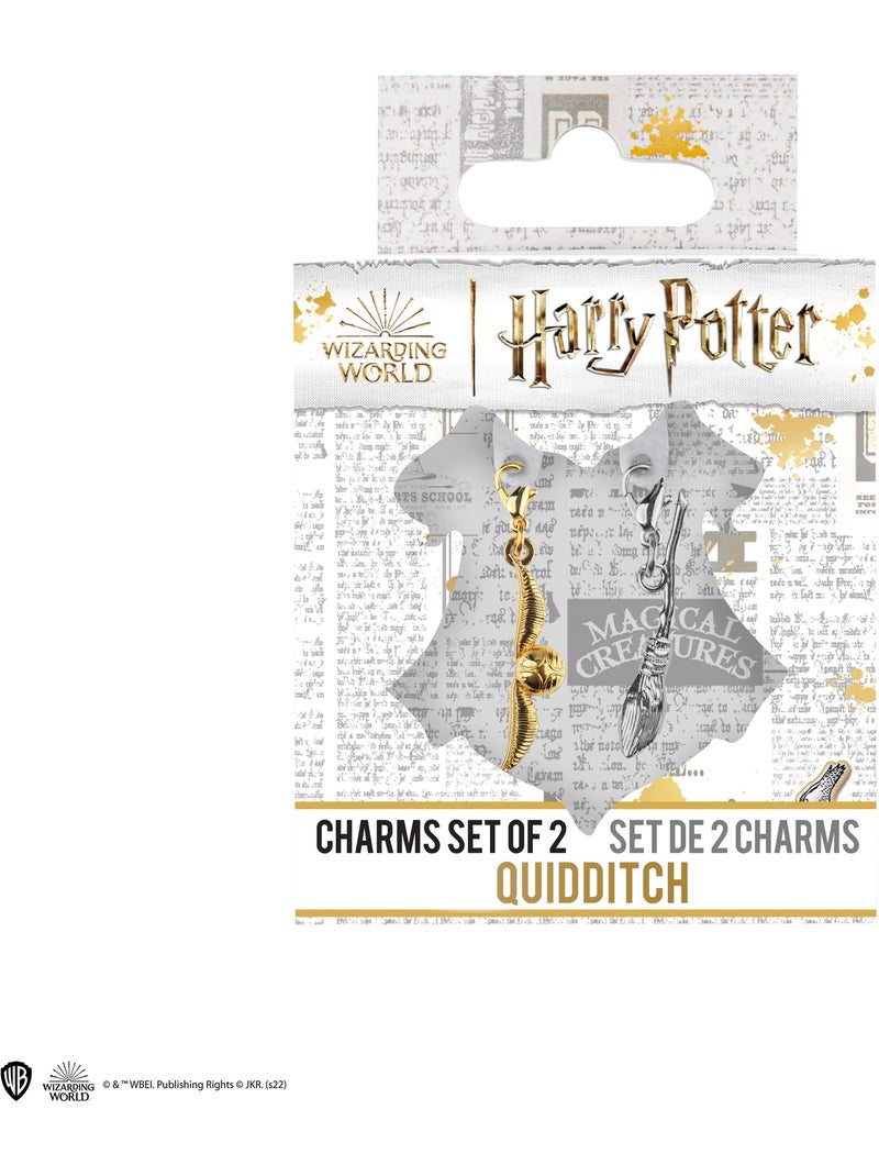 Set de 2 charms quidditch - harry potter Argenté - Kiabi