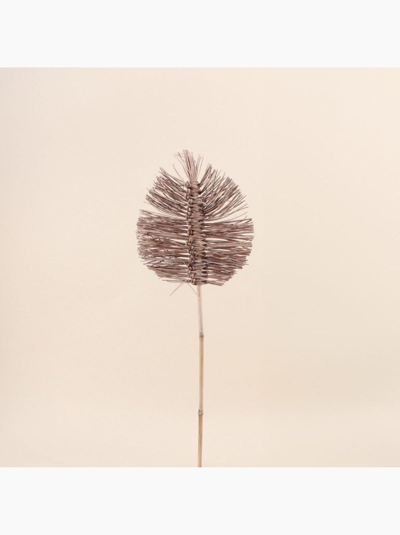 Set de 2 feuilles décoratives 90 et 75cm Beige - Kiabi
