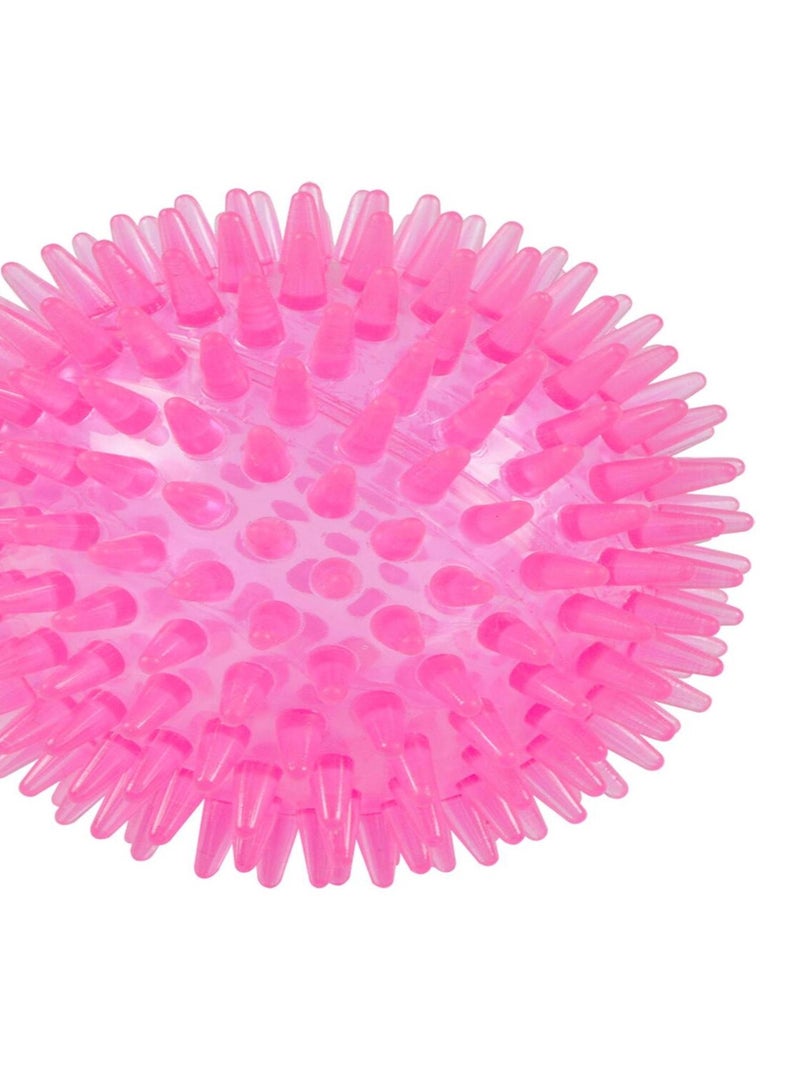 Set de 2 jouets balle et os rose 13 x 8 cm pour chien Rose - Kiabi
