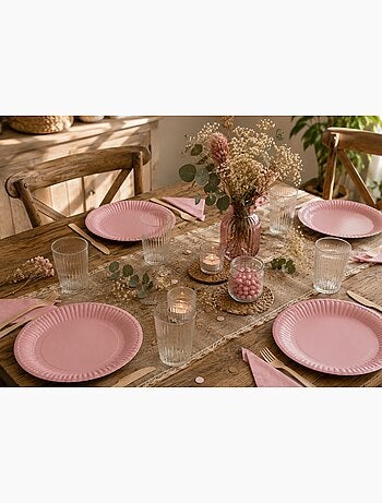 Set de 20 assiettes carton 23 cm unies gris