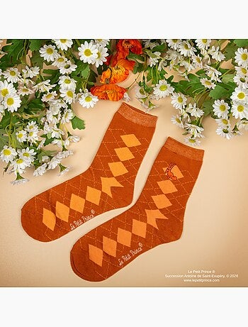 Set de 3 paires de chaussettes le petit prince - le petit prince