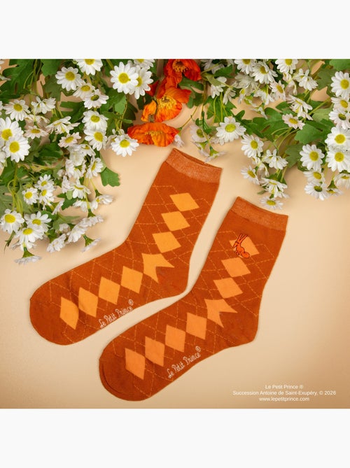 Set de 3 paires de chaussettes le petit prince - le petit prince - Kiabi