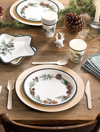 Set de 6 assiettes etoile en carton Pommes de pin