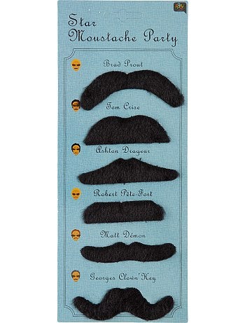 Set de 6 moustaches