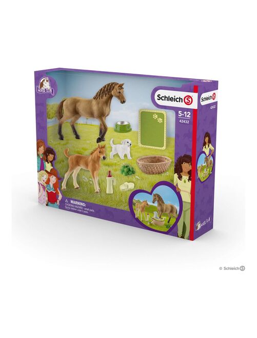 Set de figurines et accessoires - Les soins pour bébé animaux d'Horse Club Sarah - Kiabi
