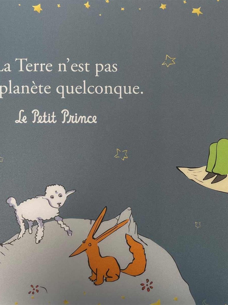 Set de table petit prince Gris - Kiabi