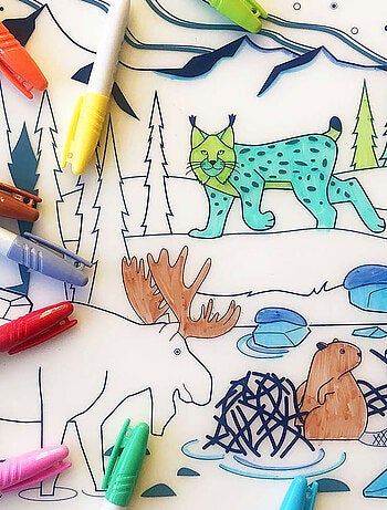 Set en silicone à colorier - Forêt boréale