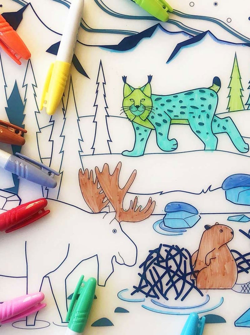 Set en silicone à colorier - Forêt boréale Multicolore - Kiabi
