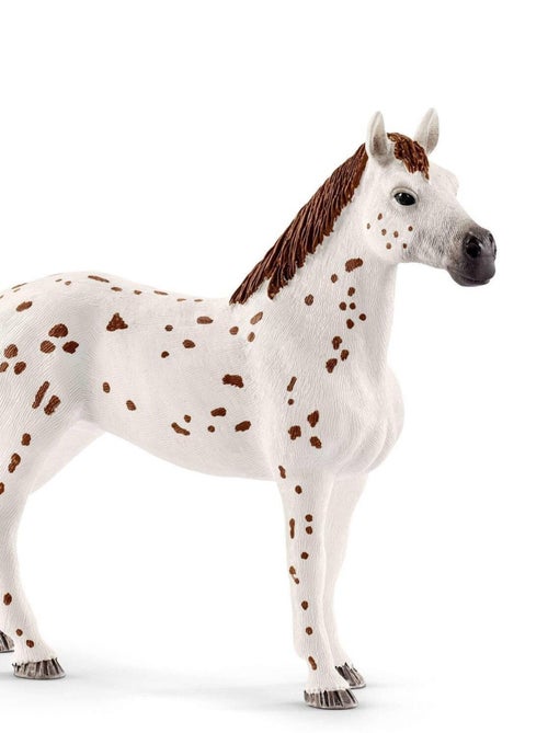 Set figurine et accessoires - L'entraînement au concours d'Horse Club Lisa - Kiabi