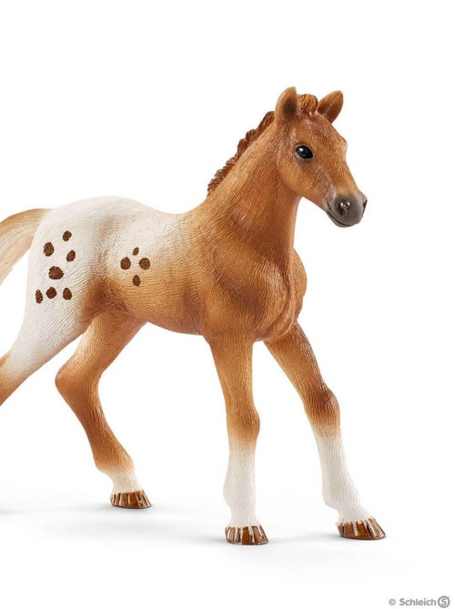 Set figurine et accessoires - L'entraînement au concours d'Horse Club Lisa - Kiabi