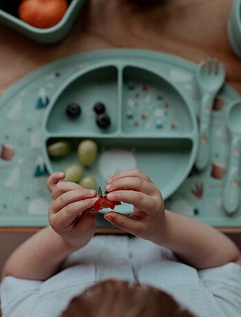 Set fourchette et cuillère en silicone, Animaux Sassi Junior
