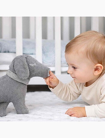 Sevira kids | peluche doudou chien teckel
