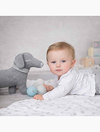 Sevira kids | peluche doudou chien teckel