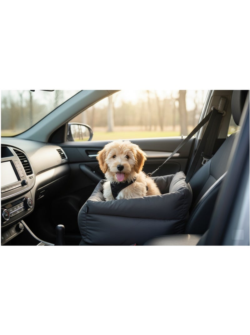 Siege auto voiture pour chien gris Gris clair - Kiabi