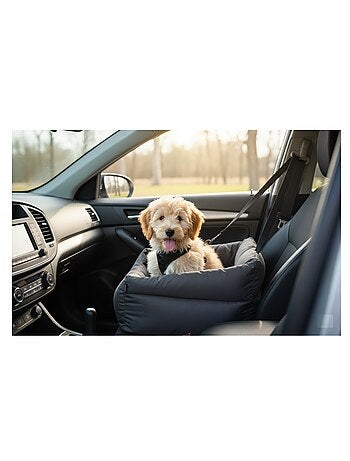 Siege auto voiture pour chien gris