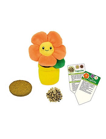 Silence ca pousse Lot de 3 fleurs (pensée, capucine, marguerite) en peluche