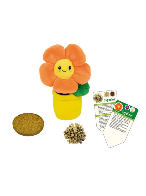 Silence ca pousse Lot de 3 fleurs (pensée, capucine, marguerite) en peluche - Kiabi