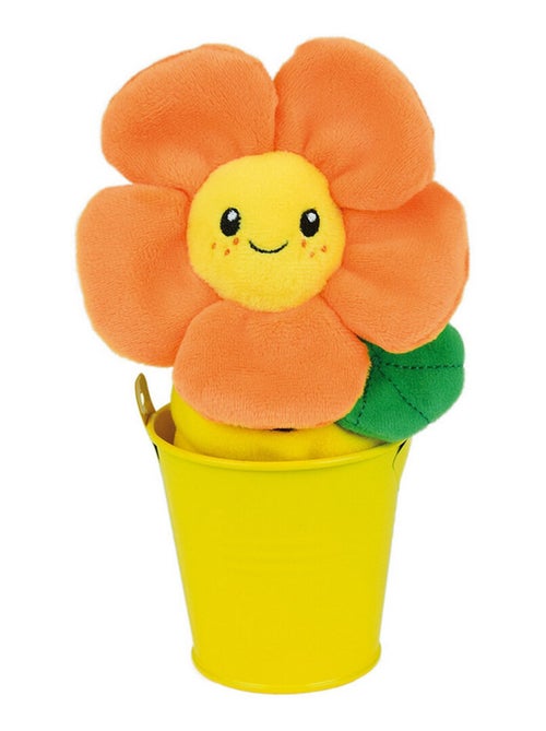 Silence ca pousse Lot de 3 fleurs (pensée, capucine, marguerite) en peluche - Kiabi