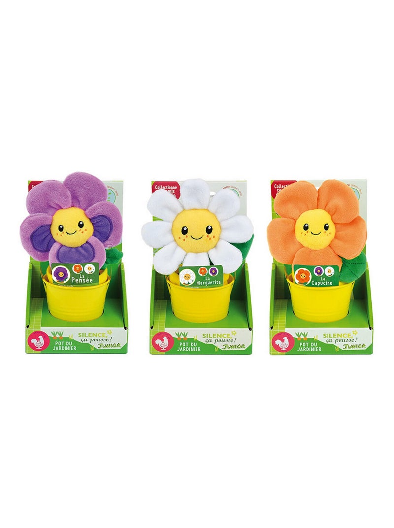 Silence ca pousse Lot de 3 fleurs (pensée, capucine, marguerite) en peluche Multicolore - Kiabi