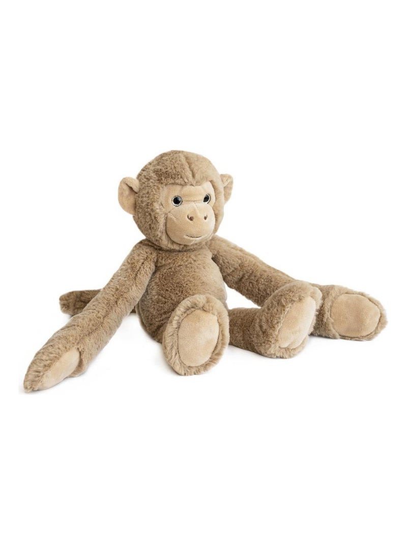 SINGE - Histoire d'ours Marron - Kiabi