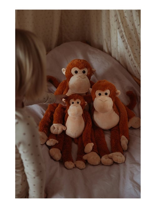 Singe en peluche lesté 0,5 kg - Kiabi