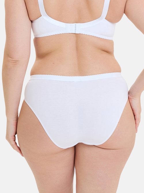 Slip Coton D'Arum Sans Complexe - Kiabi Slip Coton D'Arum Sans Complexe - Kiabi