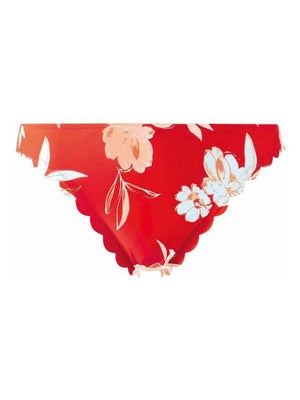 Slip De Bain Brigitte Bardot Mambo - Microfibre, Nœud Et Pompons Aux Hanches - Taille 36 à 44