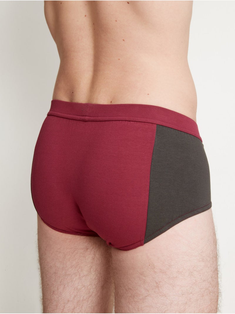 Slip fermé taille haute, lot de 4 - DAXON Multicolore - Kiabi