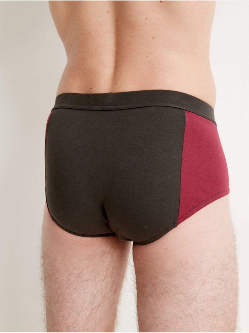 Slip fermé taille haute, lot de 4 - DAXON Multicolore - Kiabi