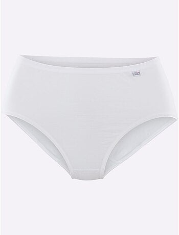 Slip Gainant Jersey Fin - Taille Standard - Witt - Lot de 3