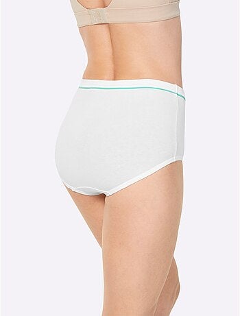 Slip Taille Haute Jersey Fin - Taille Standard - Witt - Lot de 10