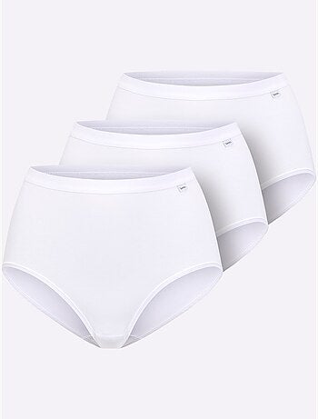 Slip Taille Haute Jersey Fin - Taille Standard - Witt - Lot de 3