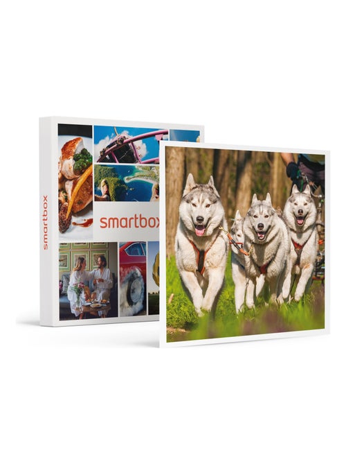 SMARTBOX - Coffret Cadeau Session de Cani-Kart d’1h en famille près de Valence -  Sport & Aventure - Kiabi