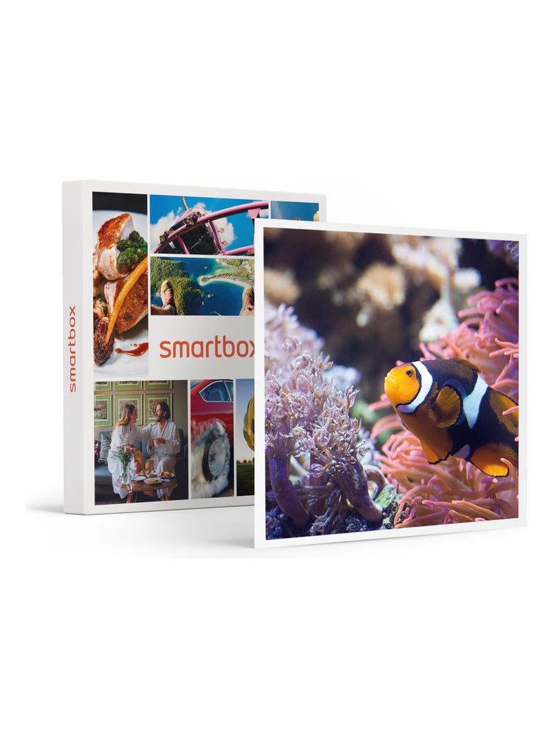 SMARTBOX - Coffret Cadeau Visite de l’Aquarium Sea Life de Val d’Europe -  Sport & Aventure N/A - Kiabi