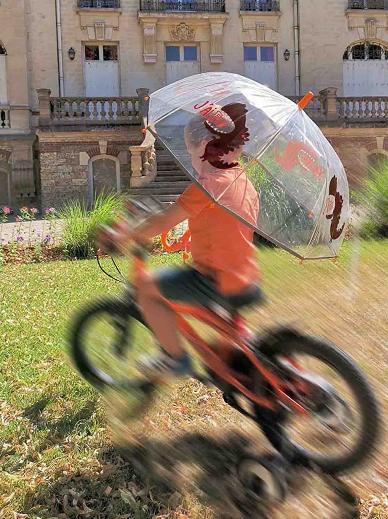 SMATI | Parapluie enfant transparent Dinosaure Marron chocolat - Kiabi