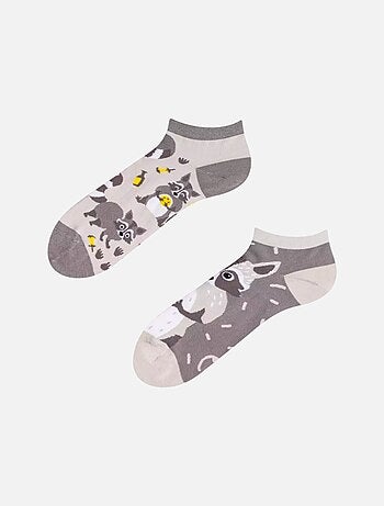 Socquettes Dedoles Raton Laveur