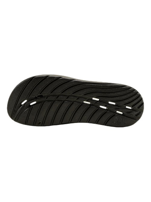 Speedo - Claquettes - Kiabi