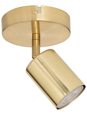 Spot mural orientable compatible plafond