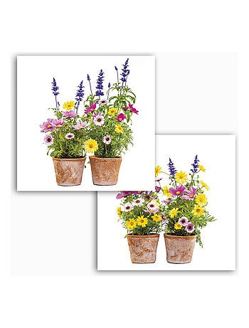 Springtime, Sticker mural pots de fleurs colorées - 31 x 31 cm