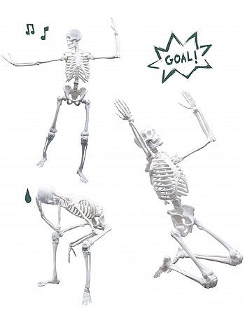 Squelette 45 cm