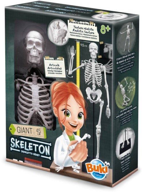 Squelette 45 cm - Kiabi